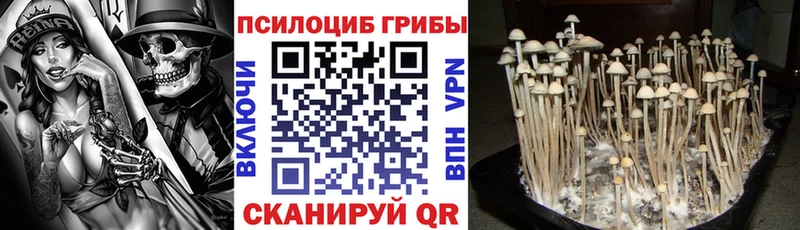 Галлюциногенные грибы мицелий  Карпинск 