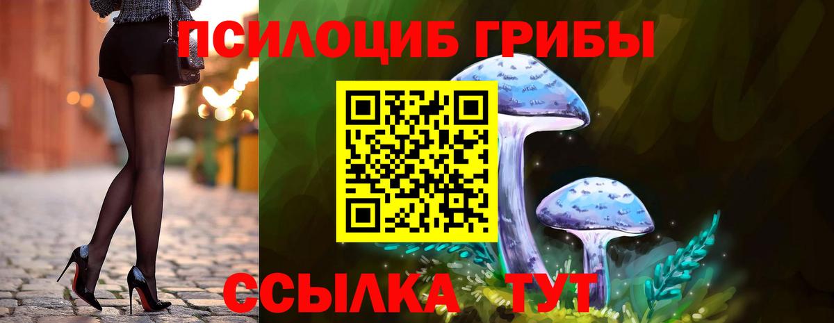 Псилоцибиновые грибы MAGIC MUSHROOMS Карпинск