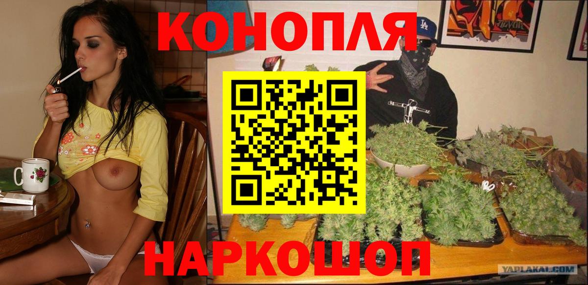 Конопля OG Kush Карпинск